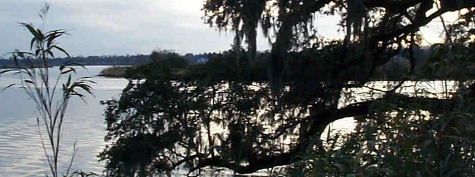 slideshow 1