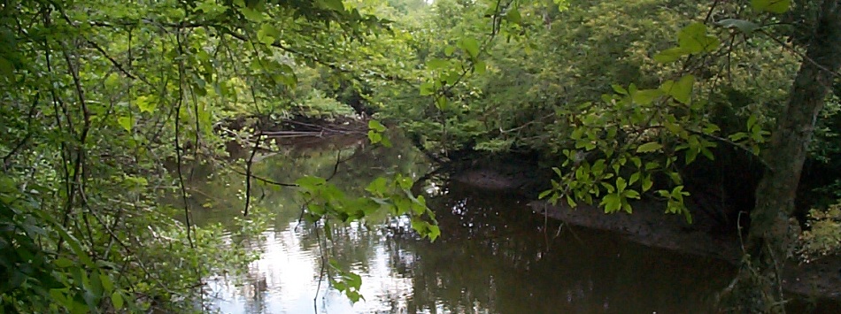 slideshow 4